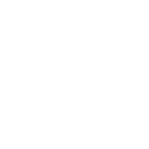 Martynas Mazvydas Library