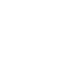 Ready To Fight