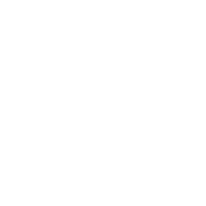 Team Usyk