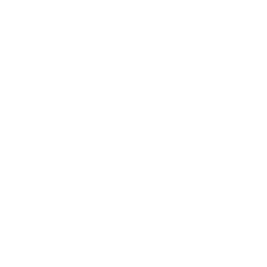 Vilnius Boxing