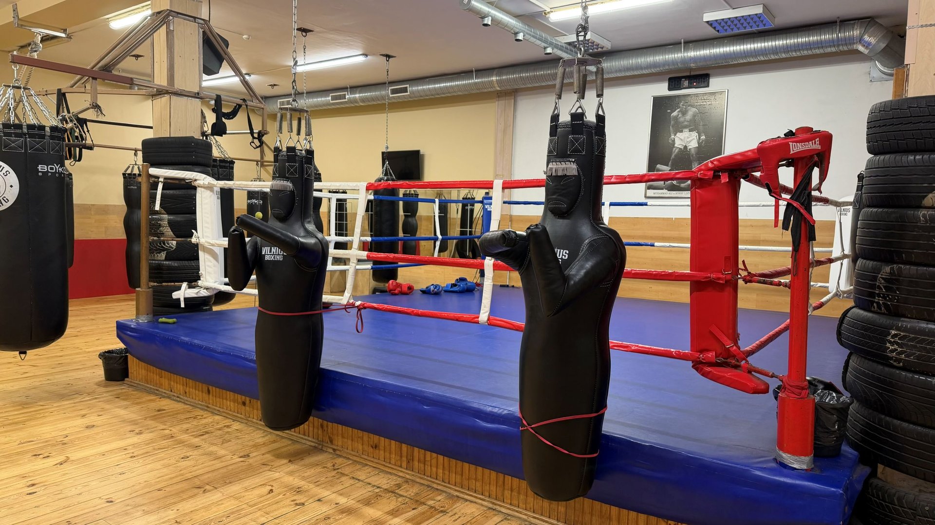 Vilnius Boxing erdvės atnaujinimas